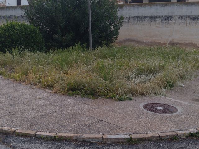 IU VERDES denuncia el más que probable uso y/o abuso de herbicida en vías públicas en Jumilla - 1, Foto 1