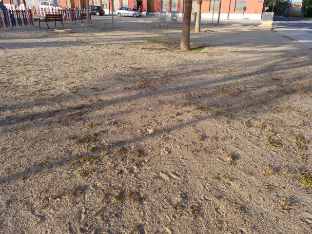 IU VERDES denuncia el más que probable uso y/o abuso de herbicida en vías públicas en Jumilla - 5, Foto 5