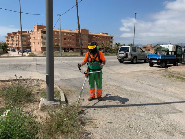 Continúan las labores de desbroce y limpieza - 2, Foto 2