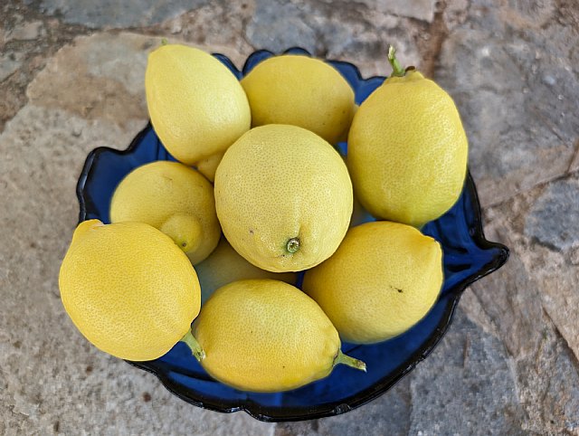 Piden un plan de arranque para reequilibrar la producción de cítricos a la demanda del mercado - 1, Foto 1