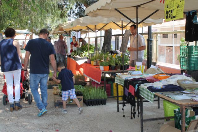 Éxito de participación en las III Jornadas Campesinas de Bullas - 3, Foto 3