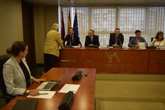 Juan Guillamón: Tras un año y medio la comisión del aeropuerto pincha en hueso al llamar a Marcos Ortuño - 2, Foto 2