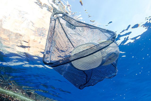Murcia se moviliza para acabar con la basuraleza en sus entornos naturales - 2, Foto 2