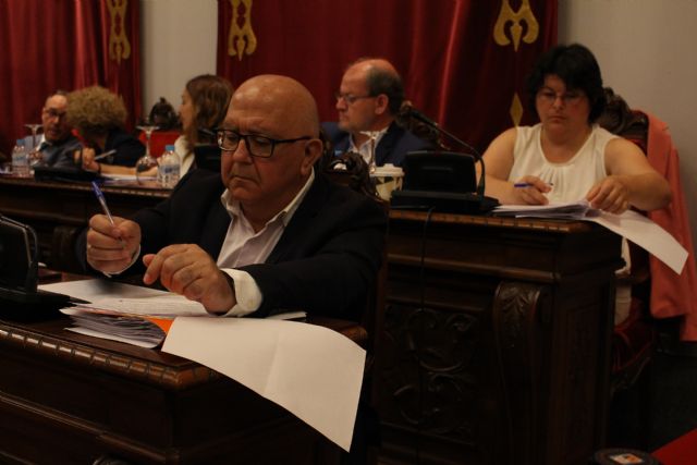 Cs exige en el Pleno que se controle y cuide el mantenimiento de las reforestaciones que se realizan en el municipio - 2, Foto 2