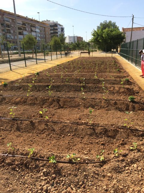 El Ayuntamiento de Molina de Segura continúa con la remodelación de la Vía Verde del Noroeste e integra el casco urbano de la localidad con su huerta y con el río - 2, Foto 2