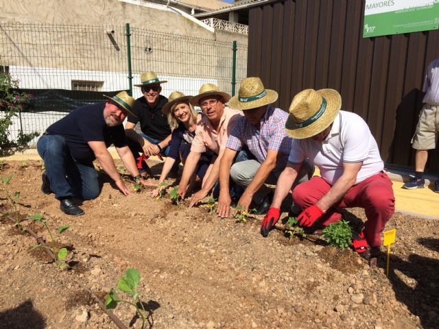 El Ayuntamiento de Molina de Segura continúa con la remodelación de la Vía Verde del Noroeste e integra el casco urbano de la localidad con su huerta y con el río - 3, Foto 3