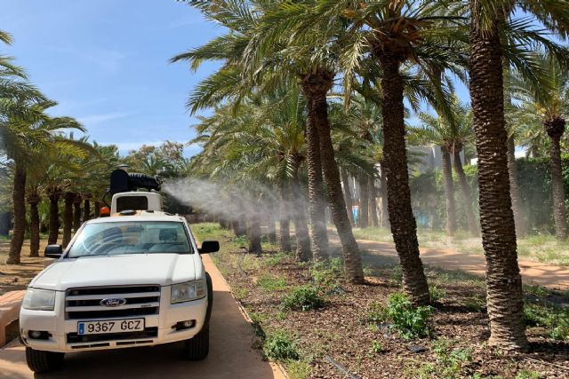 Refuerzo en la desinsectación de la Marina del Carmolí, las Salinas de Marchamalo y Lo Poyo - 1, Foto 1