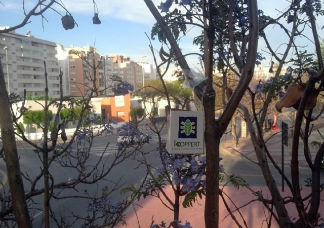 Utilizan insectos para conservar el arbolado de Murcia - 3, Foto 3