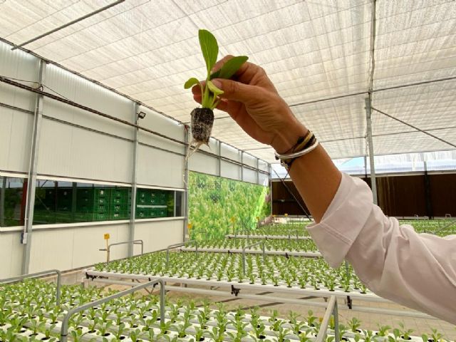 VOX, sobre la agroindustria: Los agricultores y las empresas de la Región son líderes a nivel internacional - 2, Foto 2