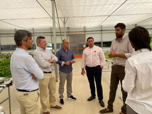 VOX, sobre la agroindustria: Los agricultores y las empresas de la Región son líderes a nivel internacional - 3, Foto 3