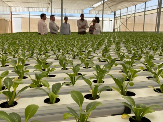 VOX, sobre la agroindustria: Los agricultores y las empresas de la Región son líderes a nivel internacional - 4, Foto 4