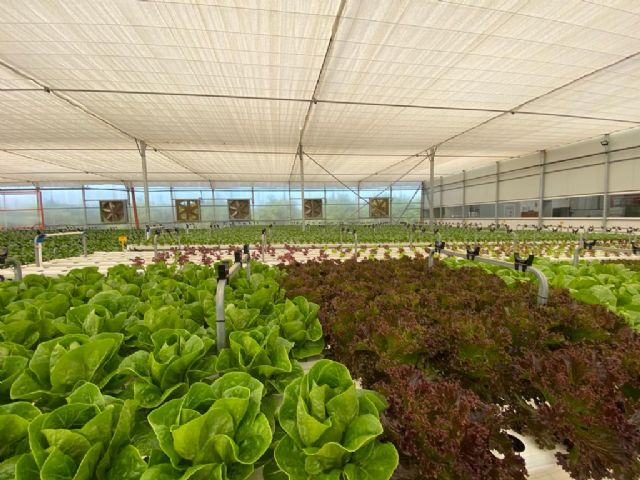 VOX, sobre la agroindustria: Los agricultores y las empresas de la Región son líderes a nivel internacional - 5, Foto 5