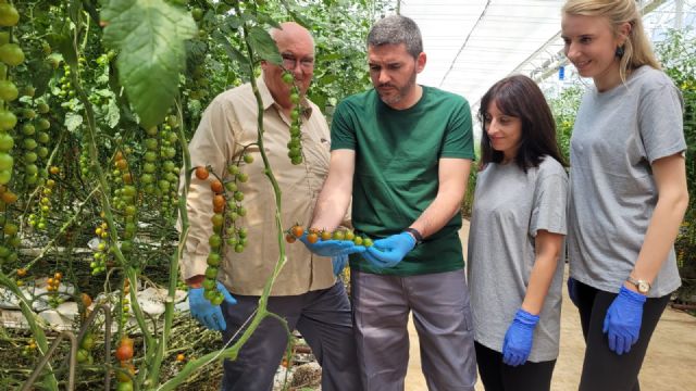 La Comunidad apuesta por la alianza entre tecnificación, calidad y productividad como respuesta a los retos de la agricultura - 1, Foto 1