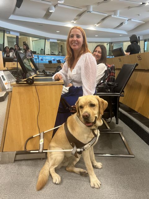 El Grupo Social ONCE pide una Presidencia española de la UE de carácter social - 1, Foto 1