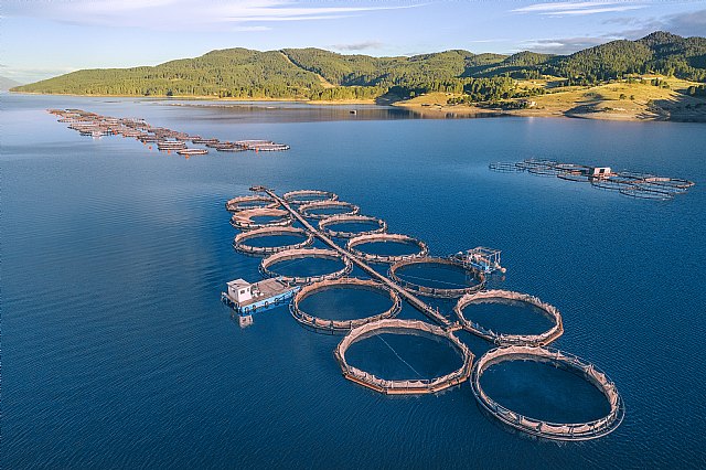 Equalia ONG alerta de la urgencia de una acuicultura sostenible para proteger los océanos - 1, Foto 1