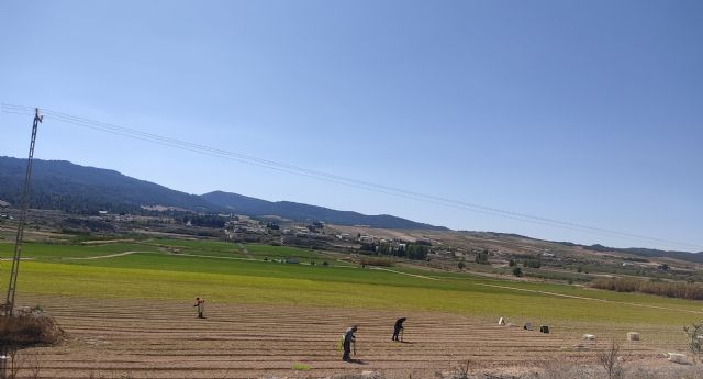 Han presentado a la CHS y a la Consejería de Agricultura un Decálogo de Medidas imperiosas para poner orden en relación a la Cuenca del Segura - 4, Foto 4