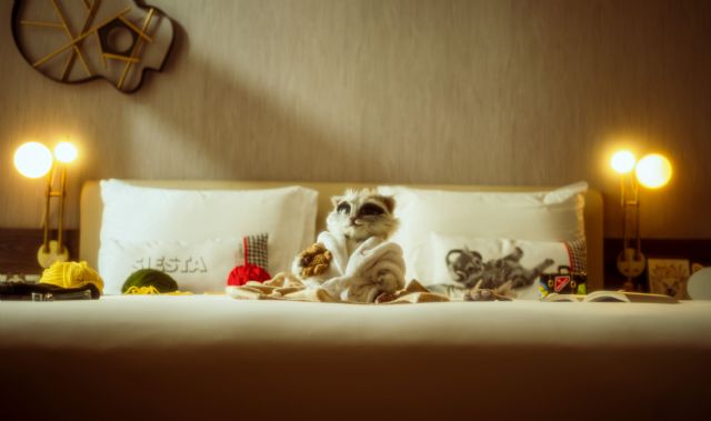 La nueva campaña de Hyatt Centric Gran Vía Madrid homenajea la ciudad con humor y chulería a través del emblemático Gato - 1, Foto 1