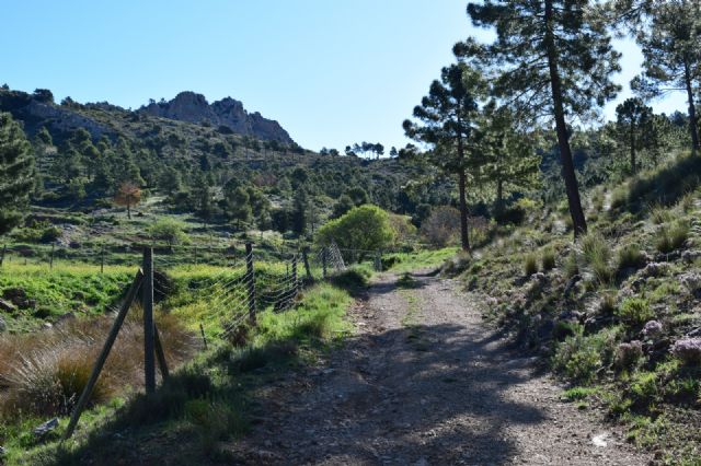 La Comunidad facilita la prevención de incendios en montes de Lorca con mejoras en sus caminos - 1, Foto 1