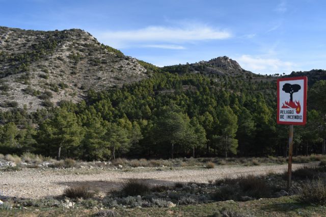 La Comunidad facilita la prevención de incendios en montes de Lorca con mejoras en sus caminos - 2, Foto 2