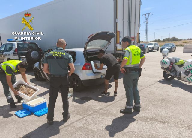 La Guardia Civil se incauta de 21 kilos de langostinos vivos en un vehículo particular - 1, Foto 1