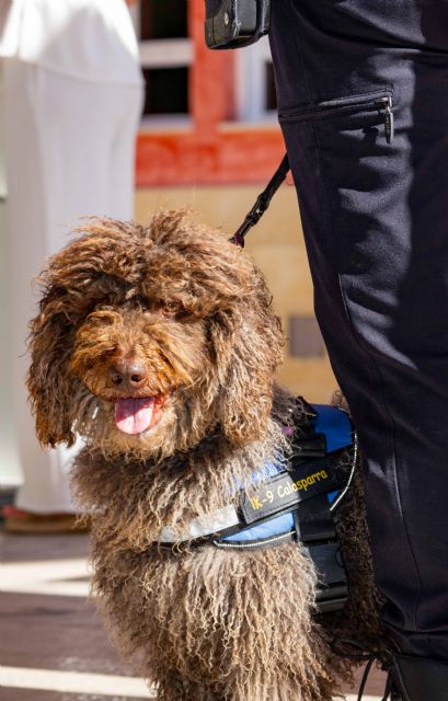 El Ayuntamiento de Calasparra presenta la nueva Unidad Canina de la Policía Local - 1, Foto 1