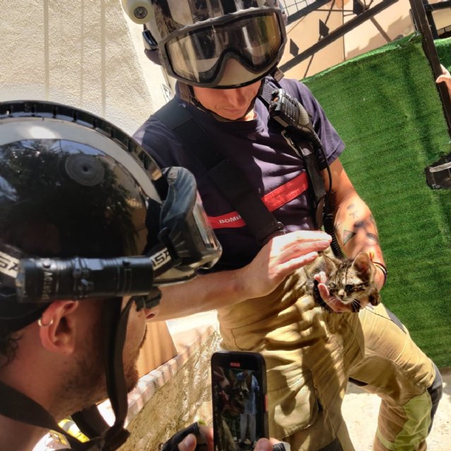 Rescatan a un gatito arrojado a una cloaca en Mula - 1, Foto 1