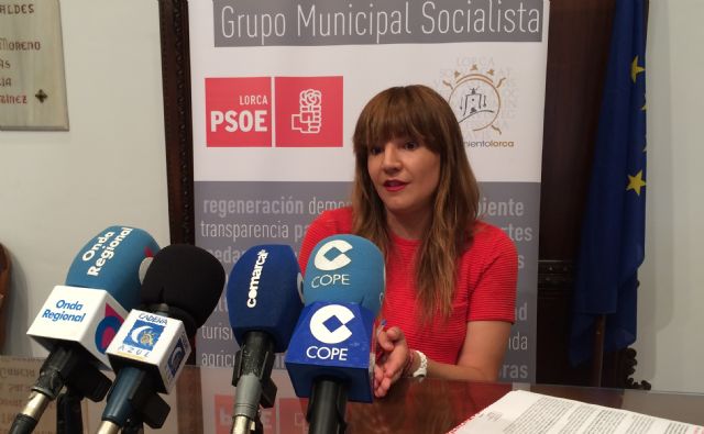 El PSOE asegura que el PP ha demostrado en sólo un año que su proyecto para Lorca está agotado - 1, Foto 1