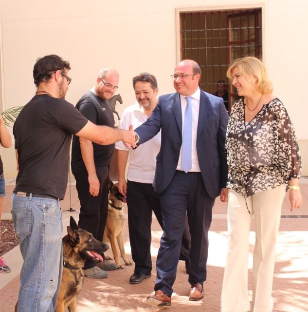La Comunidad amplía la atención a las víctimas de violencia de género con un programa novedoso de perros adiestrados - 2, Foto 2