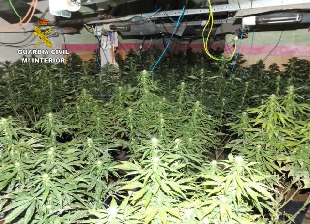 La Guardia Civil desmantela una plantación de marihuana en Mula - 1, Foto 1