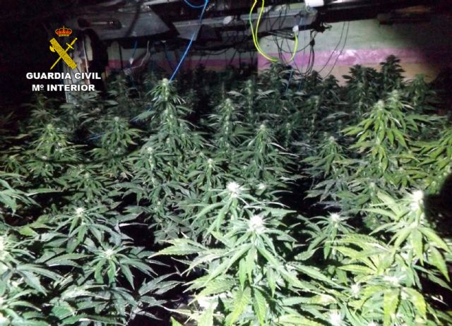 La Guardia Civil desmantela una plantación de marihuana en Mula - 3, Foto 3