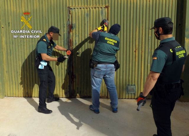 La Guardia Civil desmantela una plantación de marihuana en Mula - 4, Foto 4