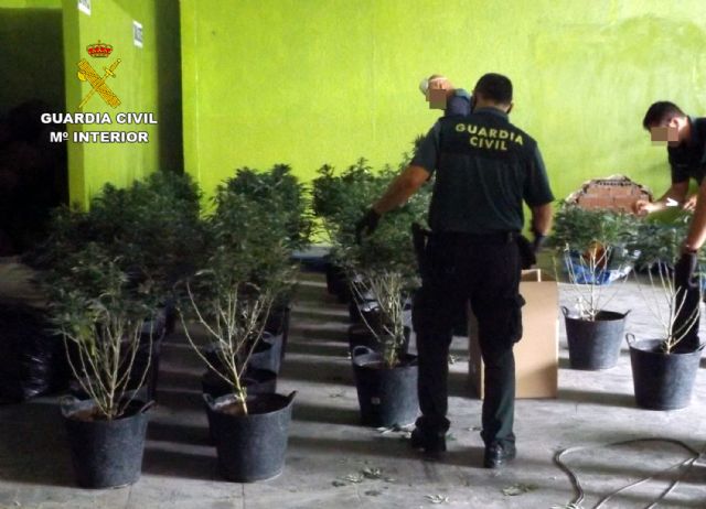 La Guardia Civil desmantela una plantación de marihuana en Mula - 5, Foto 5