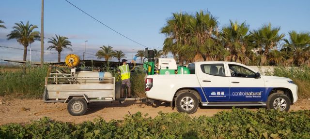 Continúa la campaña de lucha contra el mosquito - 2, Foto 2