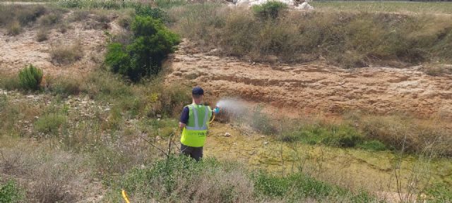 Continúa la campaña de lucha contra el mosquito - 3, Foto 3
