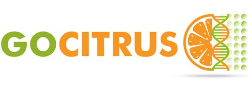 GOCITRUS organiza esta mañana un evento online para analizar la innovación varietal y las nuevas tecnologías en el sector de los cítricos - 1, Foto 1