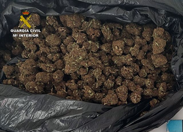 La Guardia Civil desmantela en Fortuna un grupo delictivo dedicado al cultivo ilícito de marihuana - 1, Foto 1
