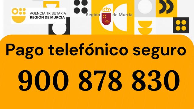 La Comunidad pone en marcha un sistema de pago telefónico seguro - 1, Foto 1