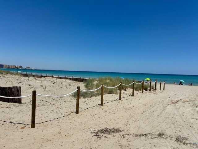 El MITECO finaliza la restauración dunar en 33.000 m2 de La Manga del Mar Menor - 2, Foto 2