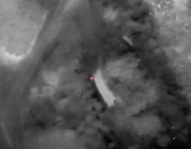 La intervención de la Policía Local permite detener al presunto autor de un intento de robo y recuperar un vehículo sustraído tras un seguimiento con dron dotado de visión térmica - 2, Foto 2