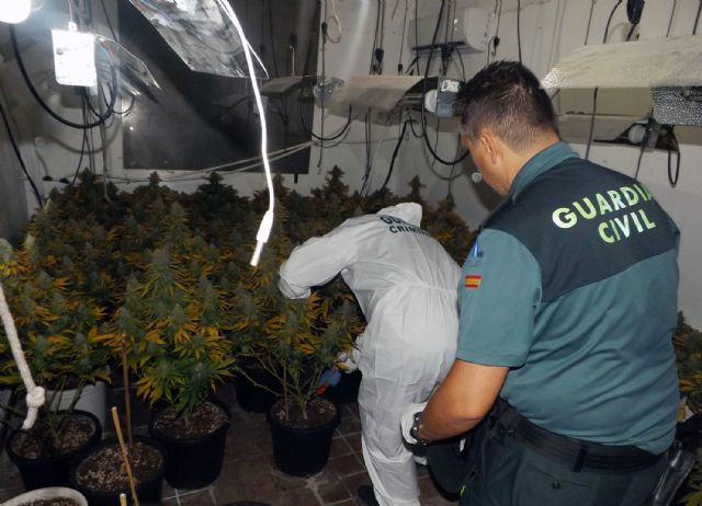La Guardia Civil desmantela un invernadero de marihuana cuando sus propietarios repelieron con un subfusil de guerra un intento de robo - 1, Foto 1
