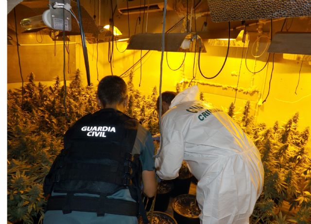 La Guardia Civil desmantela un invernadero de marihuana cuando sus propietarios repelieron con un subfusil de guerra un intento de robo - 2, Foto 2