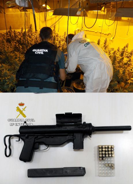 La Guardia Civil desmantela un invernadero de marihuana cuando sus propietarios repelieron con un subfusil de guerra un intento de robo - 4, Foto 4