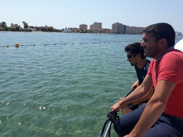 Medio Ambiente resuelve una quincena de incidencias relacionadas con roturas de las redes antimedusas o cambios de ubicación - 1, Foto 1