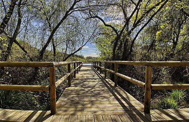 Consejos para disfrutar de un verano sostenible - 1, Foto 1