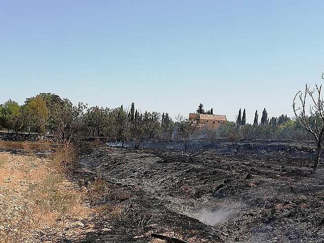 Incendio agrícola en Caravaca de la Cruz - 1, Foto 1