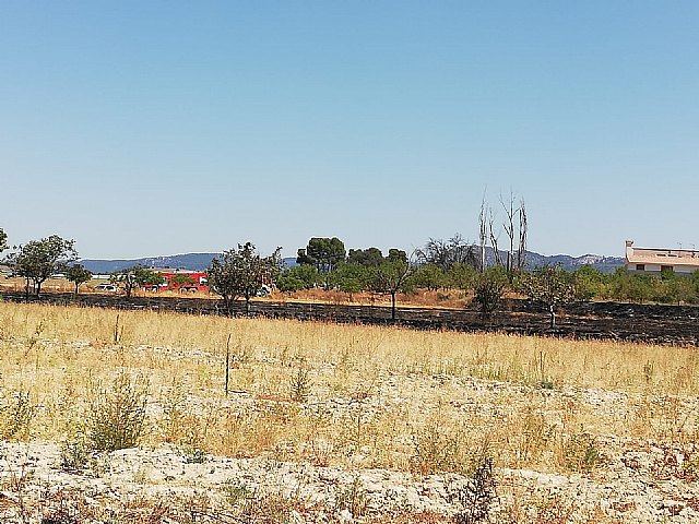 Incendio agrícola en Caravaca de la Cruz - 2, Foto 2
