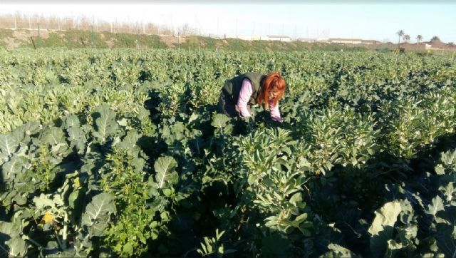 UPCT se une a ‘fields4ever’, una iniciativa global para la conservación y vigilancia de la salud del suelo - 1, Foto 1