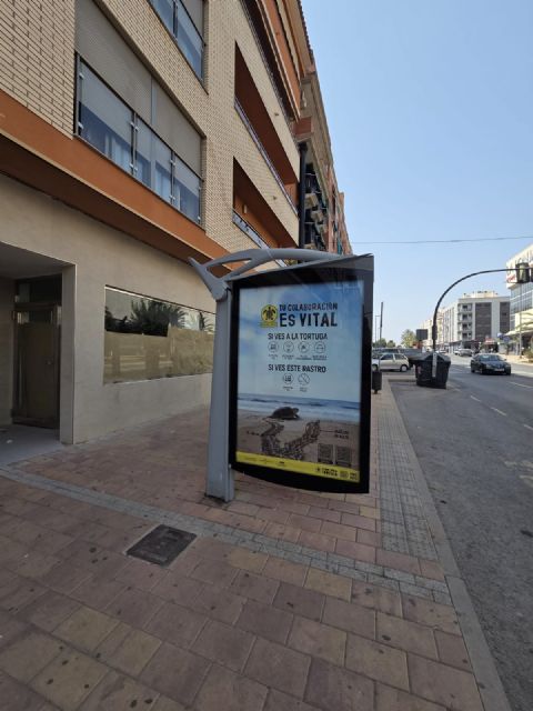 Lorca recuerda que sus playas son Territorio Tortuga con una campaña de sensibilización para proteger la nidificación de la tortuga boba - 2, Foto 2