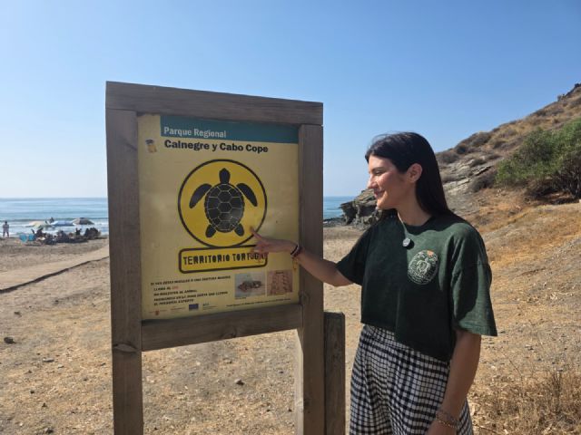 Lorca recuerda que sus playas son Territorio Tortuga con una campaña de sensibilización para proteger la nidificación de la tortuga boba - 3, Foto 3