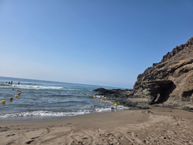 Lorca recuerda que sus playas son Territorio Tortuga con una campaña de sensibilización para proteger la nidificación de la tortuga boba - 4, Foto 4